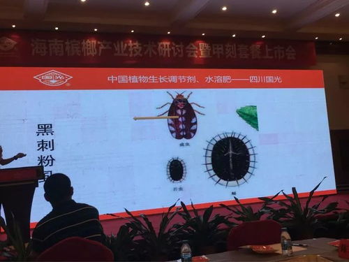 創(chuàng)新驅(qū)動，合作共贏 2018檳榔產(chǎn)業(yè)技術(shù)研討交流會之軟件開發(fā)篇