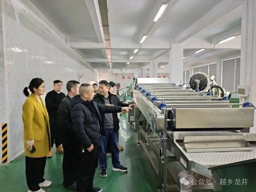 俞燎遠研究員深入嵊州調(diào)研，為茶產(chǎn)業(yè)技術(shù)推廣與升級把脈開方