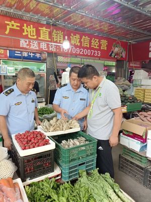 筑牢安全防線，守護舌尖健康——區市場監管局全面開展市場銷售蘑菇風險排查專項行動