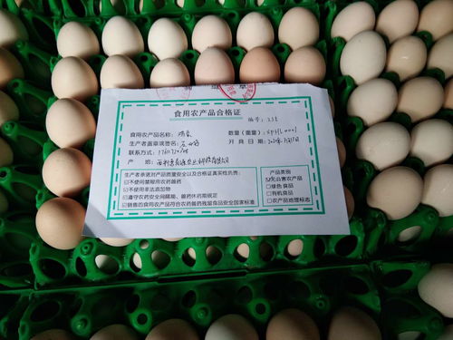 西平縣多措并舉扎實推進食用農產品合格證試點工作